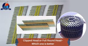 Clipped Head or Full Round Head– Which one is better