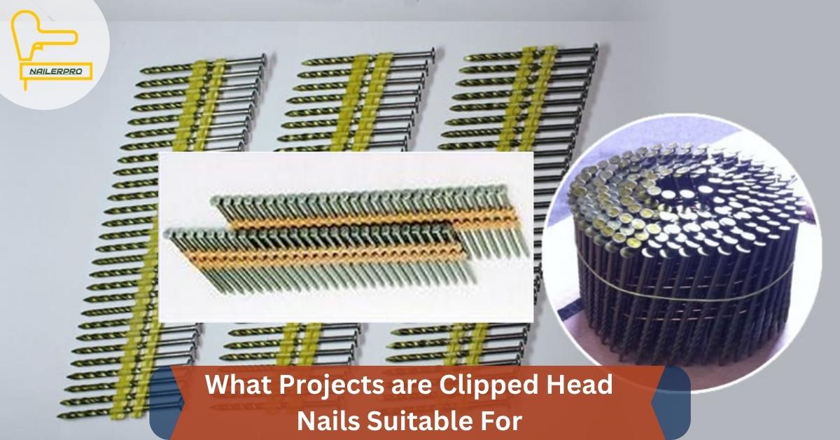 What Projects are Clipped Head Nails Suitable For