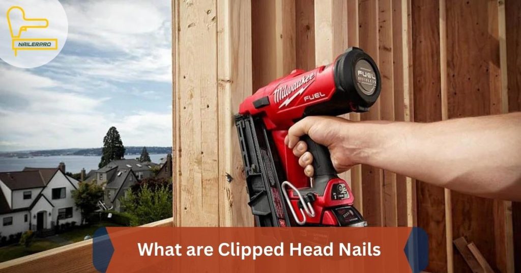 What are Clipped Head Nails