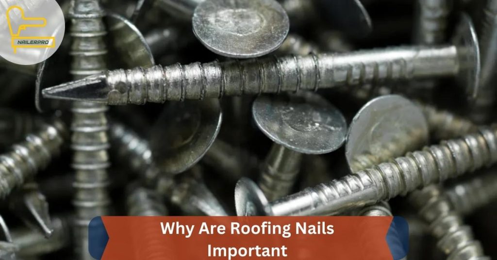 Why Are Roofing Nails Important