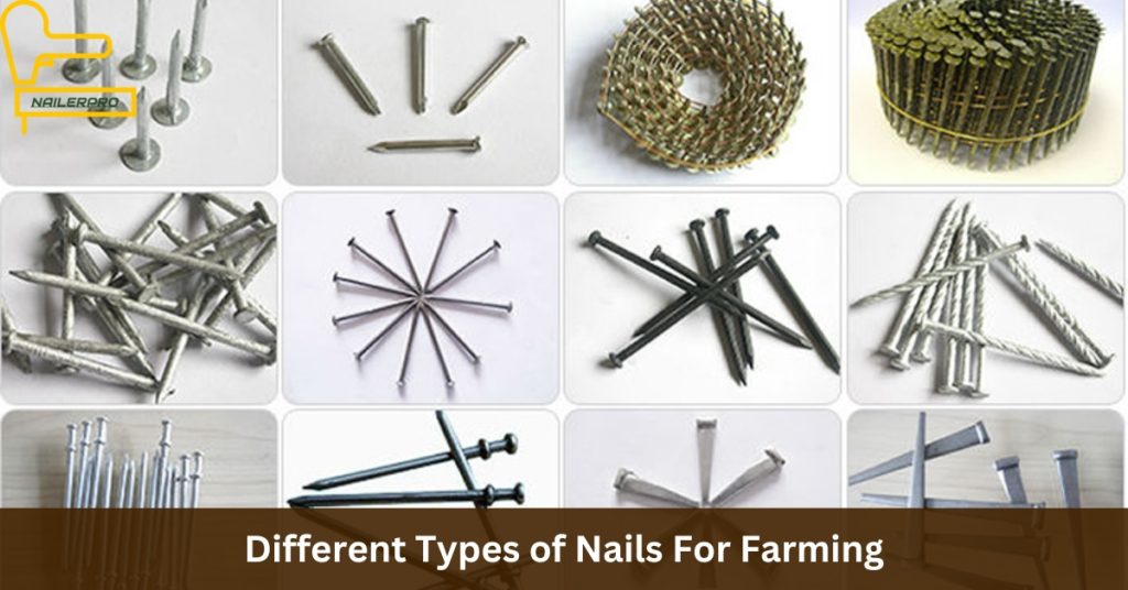 Different Types of Nails For Farming